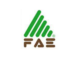 FAE Logo